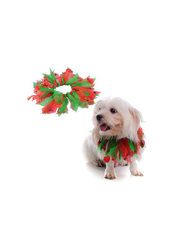 Christmas Collar with Rainbow Ribbon