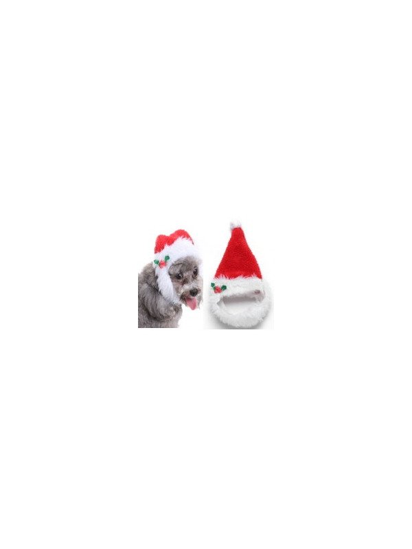 Santa Hat with Beard
