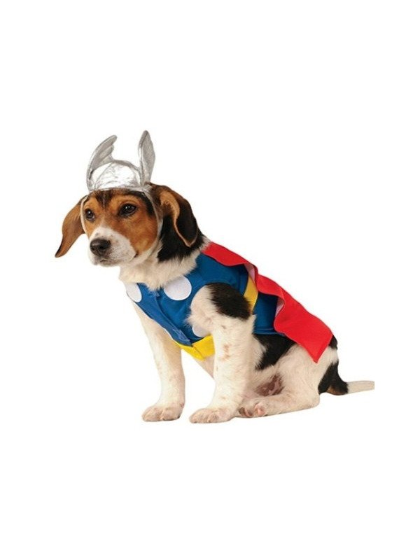 Thor Costume with Hat (Unbranded, Unisex)