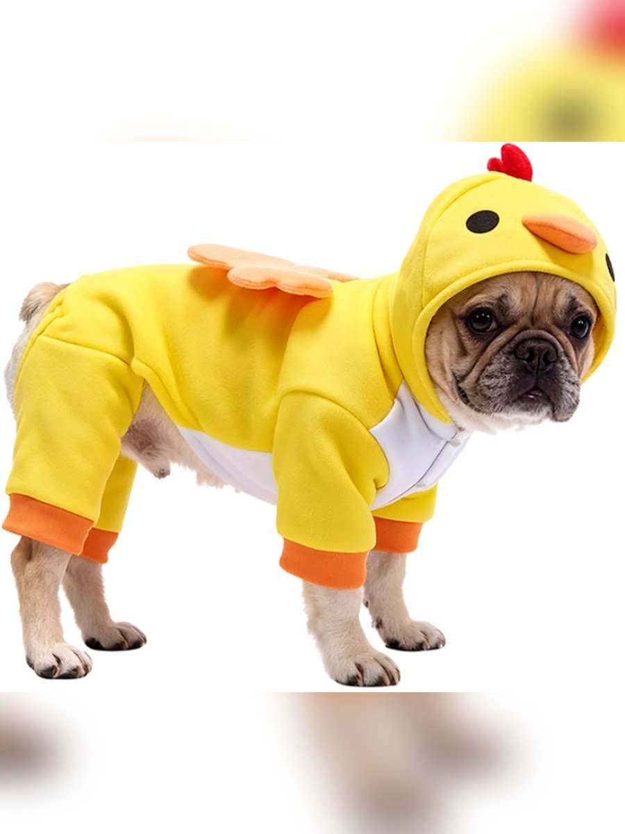 Sweet Little Chick Pet Costume
