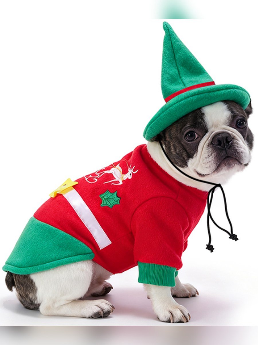 Red & Green Christmas Elf Set (Hat + Outfit)