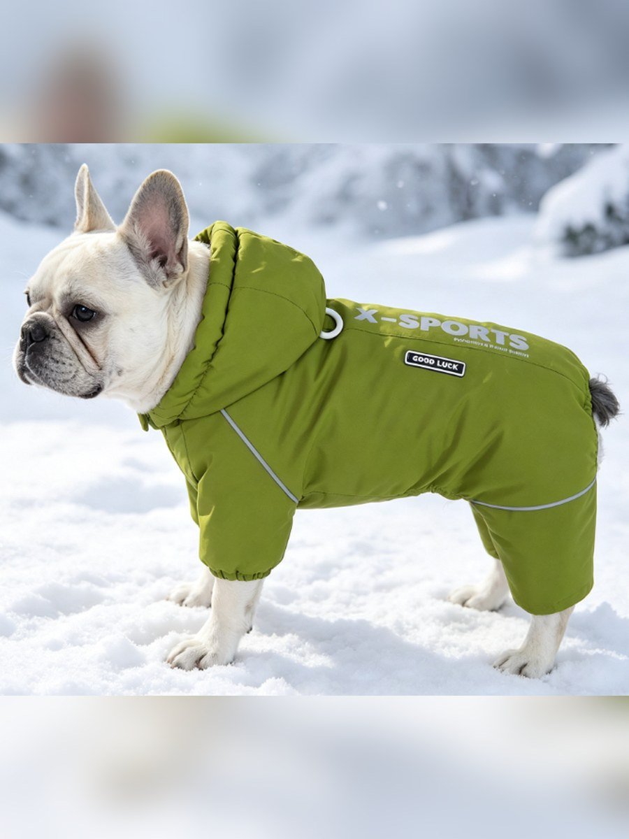 X-SPORTS Dog Windbreaker – Light Green (Item WYDZ100)