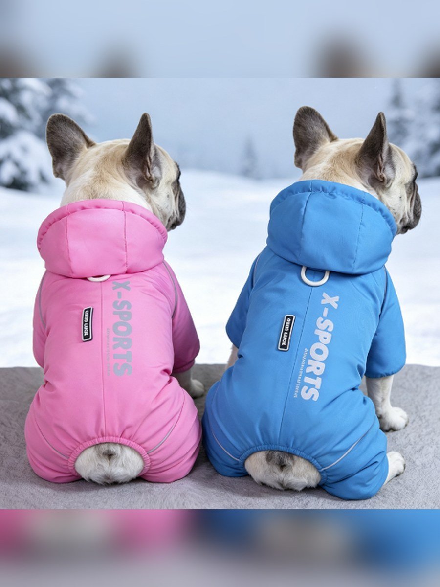 X-SPORTS Dog Windbreaker – Light Green (Item WYDZ100) - Image 2