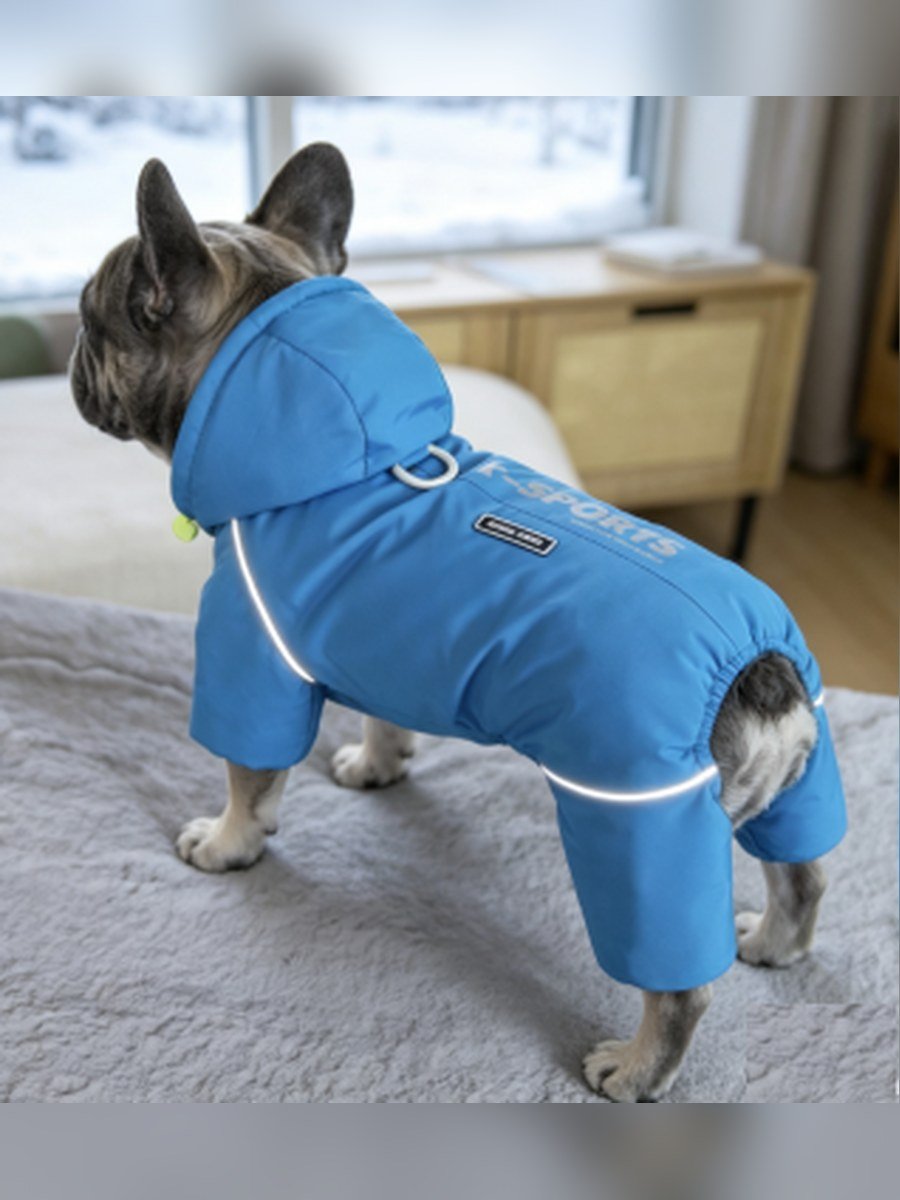 X-SPORTS Dog Windbreaker – Blue (Item WYDZ102)
