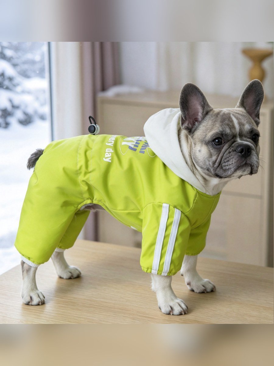 GOOD&LUCKY Colour-Block Hooded Dog Windbreaker – Yellow (Item WYDZ103)