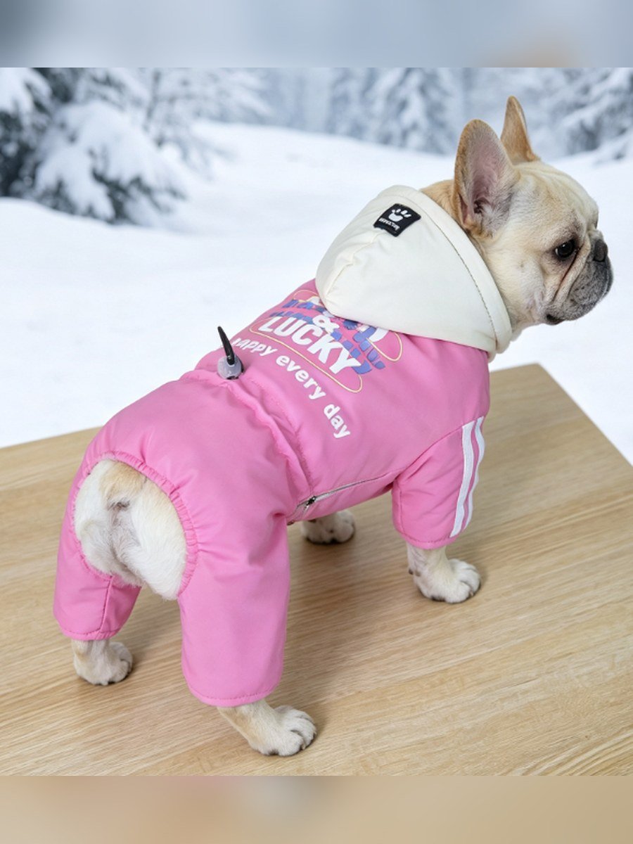 GOOD&LUCKY Colour-Block Hooded Dog Windbreaker – Pink / Blue (Item WYDZ104)