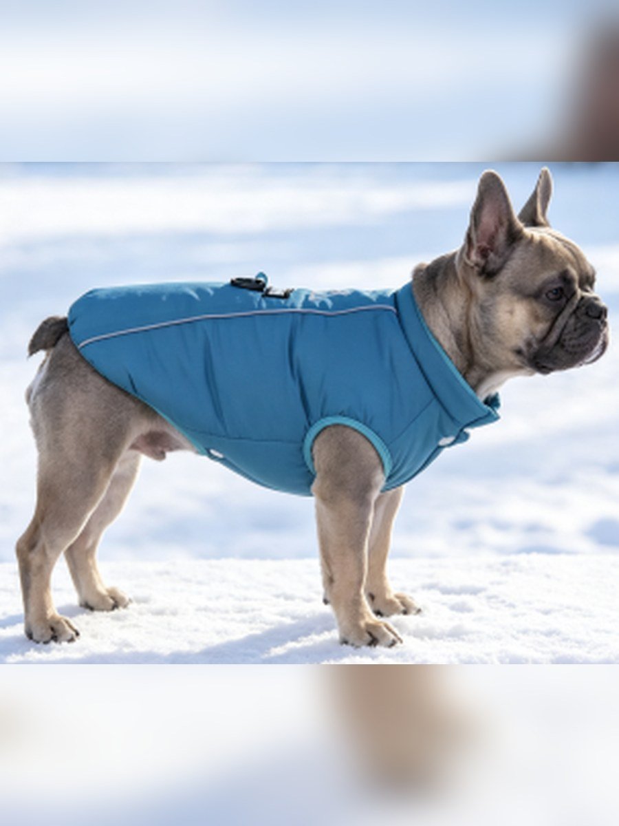 GOOD LUCK Reflective Dog Vest – Blue (Item WYDZ68)