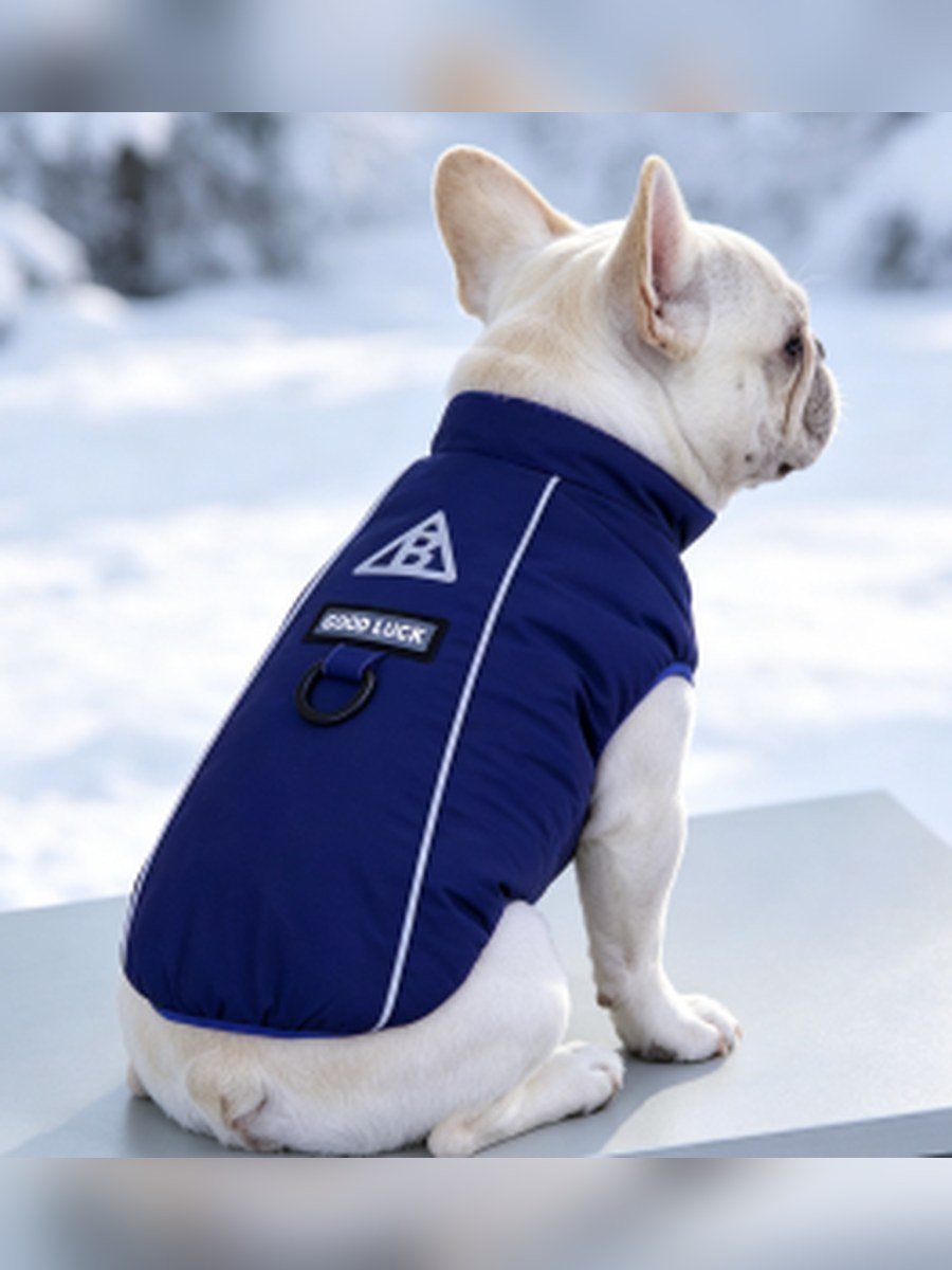 GOOD LUCK Reflective Dog Vest – Purple (Item WYDZ70)