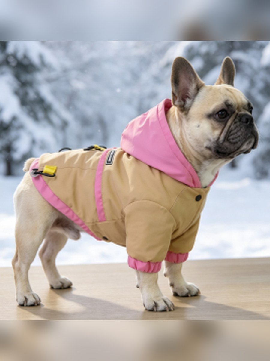 Colour-Block Hooded Dog Windbreaker – Lemon Yellow / Khaki (Item WYDZ73)