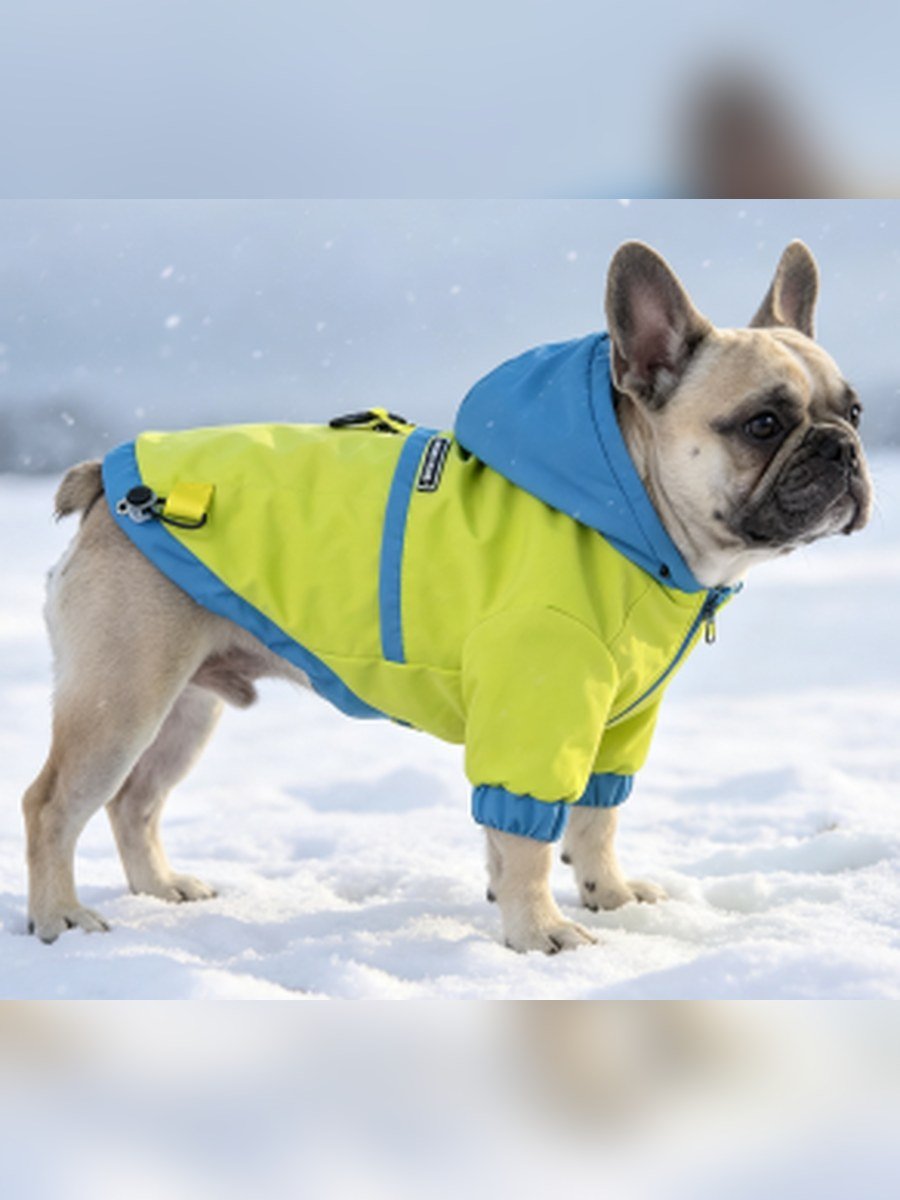 Colour-Block Hooded Dog Windbreaker – Lemon Yellow (Item WYDZ74)
