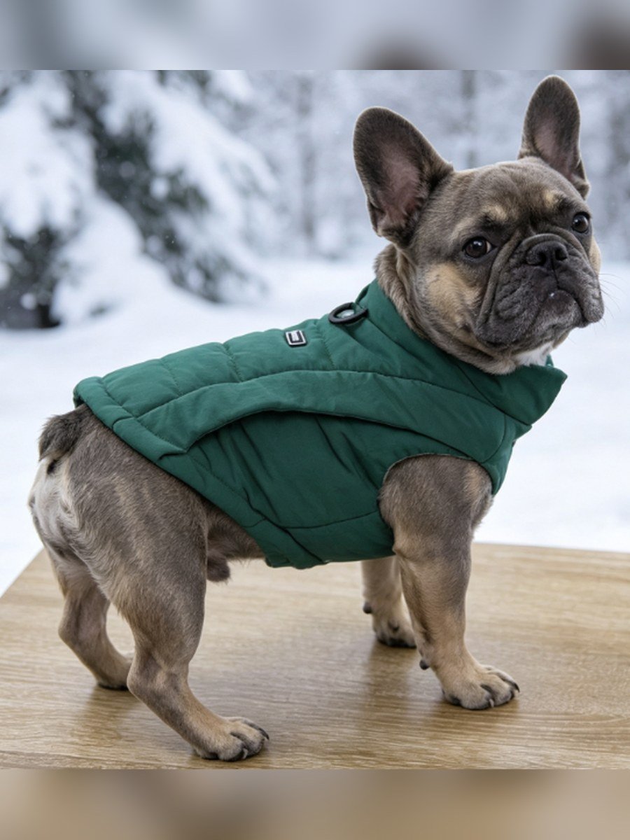 Minimal Stand-Collar Dog Vest – Green (Item WYDZ79)