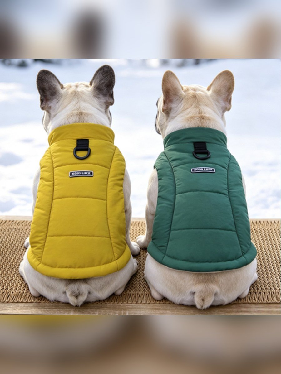 Minimal Stand-Collar Dog Vest – Green (Item WYDZ79) - Image 2