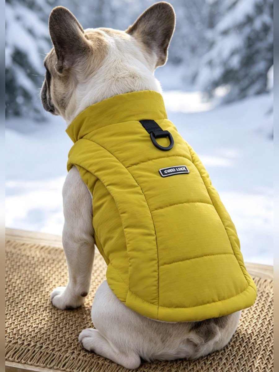 Minimal Stand-Collar Dog Vest – Yellow (Item WYDZ80)