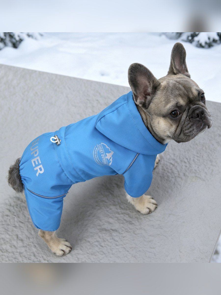 SUPER Outdoor Dog Windbreaker – Blue (Item WYDZ89)