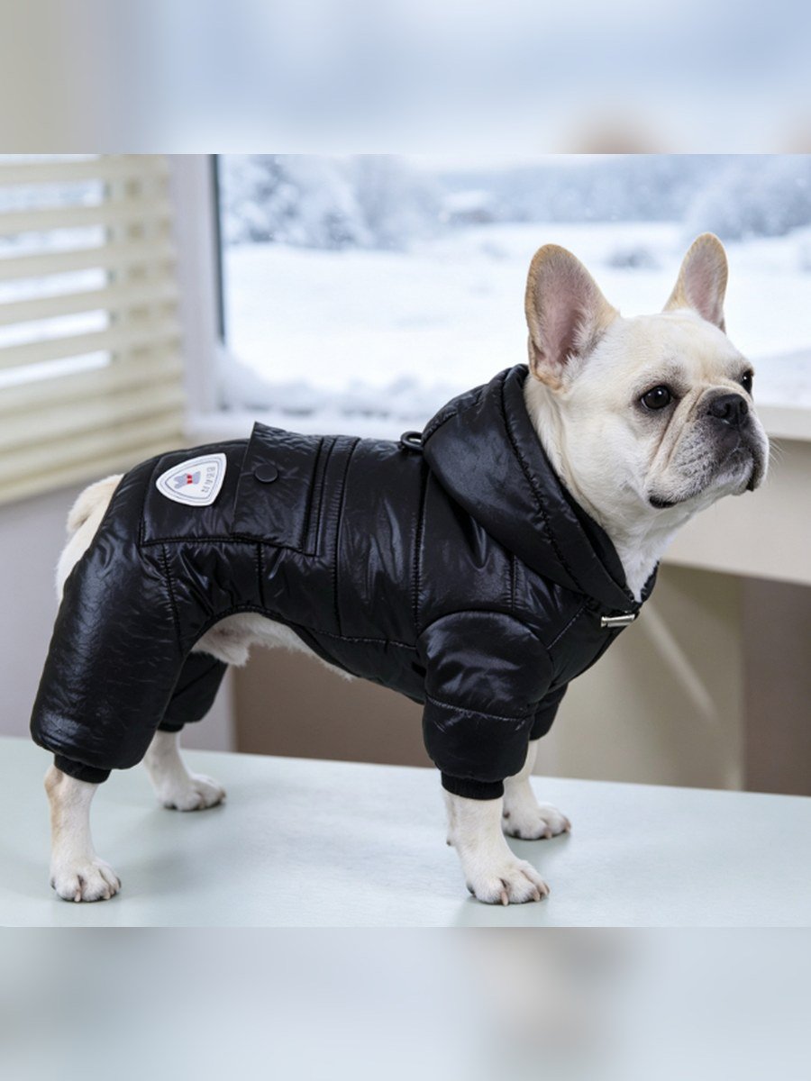 Glossy Hooded Four-Leg Dog Coat – 黑色 (Item WYDZ94)