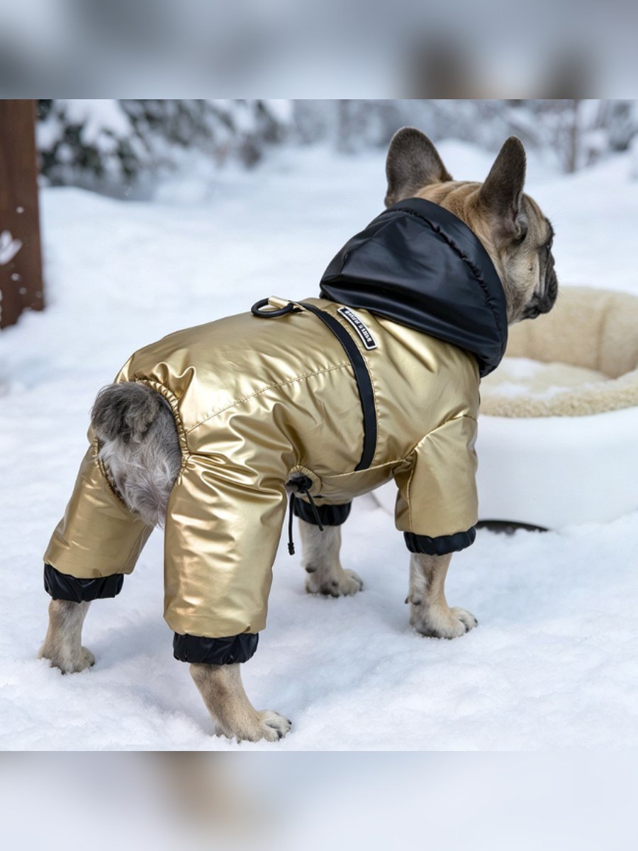 Utility Four-Leg Dog Padded Coat – Bronze (Item WYDZ97)