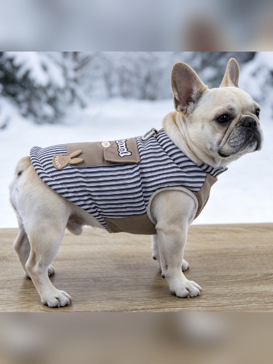 Striped Cool Dog Vest – Black Stripe (Item WYDZ64)