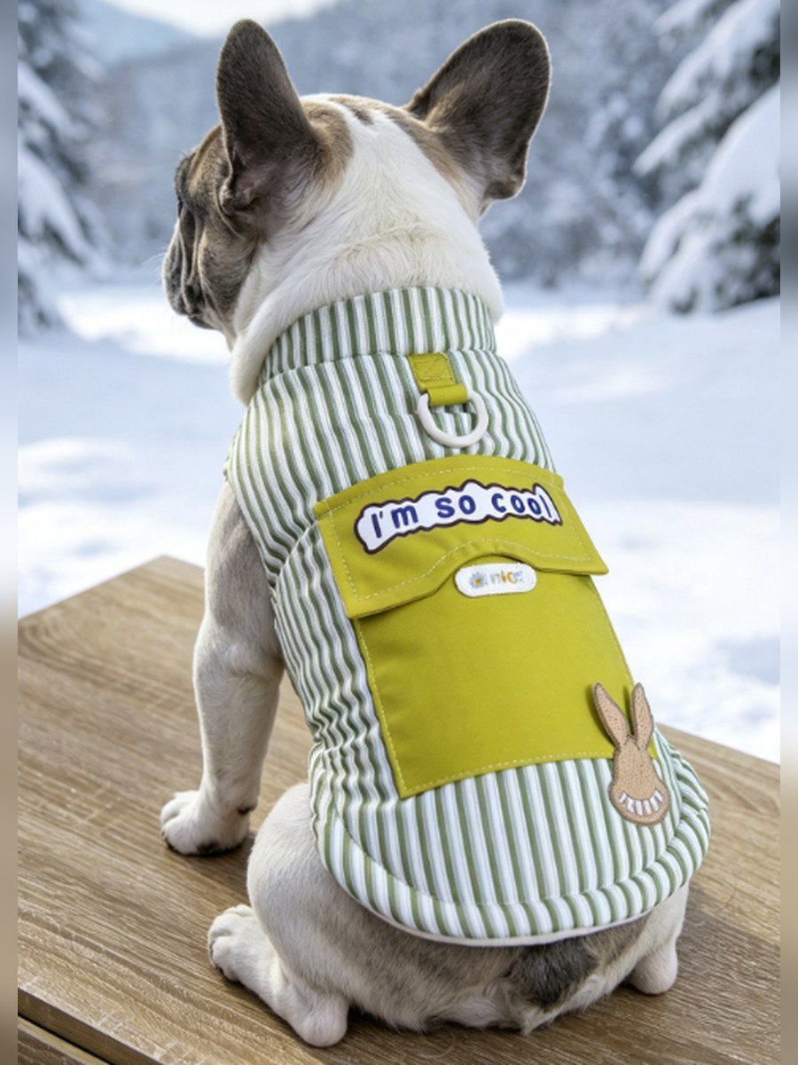 Striped Cool Dog Vest – Green Stripe (Item WYDZ65)