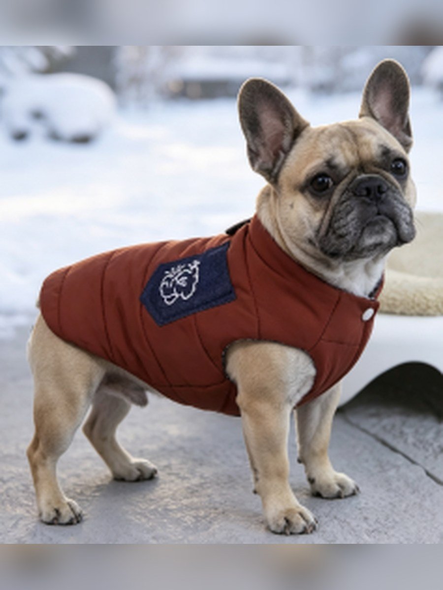 Quilted Bear Padded Dog Vest – Deep Red (Item WYDZ66)