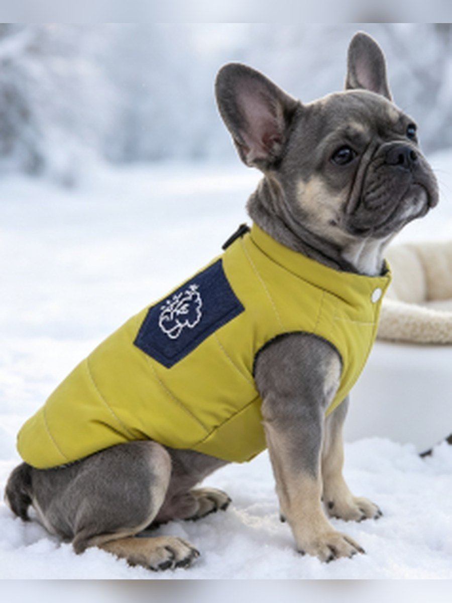 Quilted Bear Padded Dog Vest – Yellow (Item WYDZ67)
